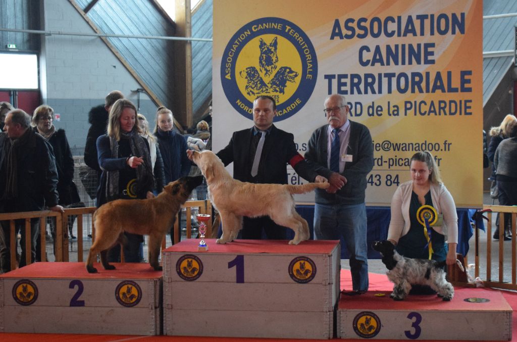 De La Vallee Des Jolis Chênes - Meilleur Baby ring honneur amiens 2020